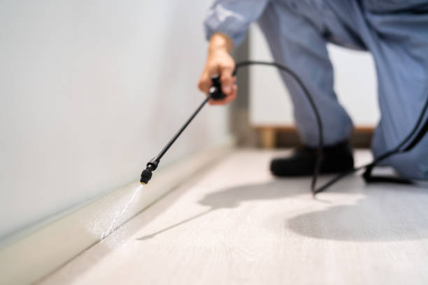 Licensed Mosquito Control service in St. Jacob, IL - Show Me Pest Control