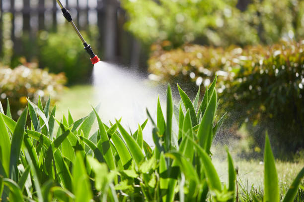 24/7 Emergency Mosquito Control experts in St. Jacob, IL