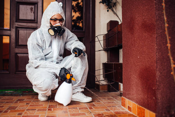 Reliable Mosquito Control contractor in St. Jacob, IL by Show Me Pest Control