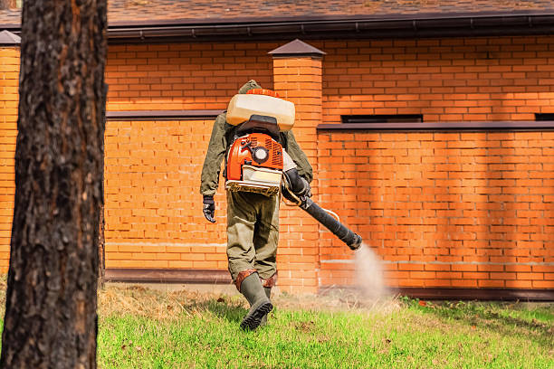 Top rated local Mosquito Control specialists in St. Jacob, IL